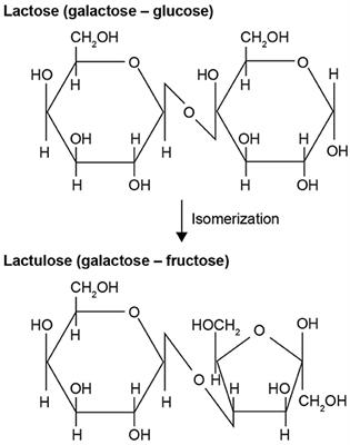 Low-Dose Lactulose as a Prebiotic for Improved Gut Health and Enhanced Mineral Absorption